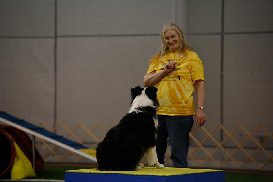 Instructors Canine Sports